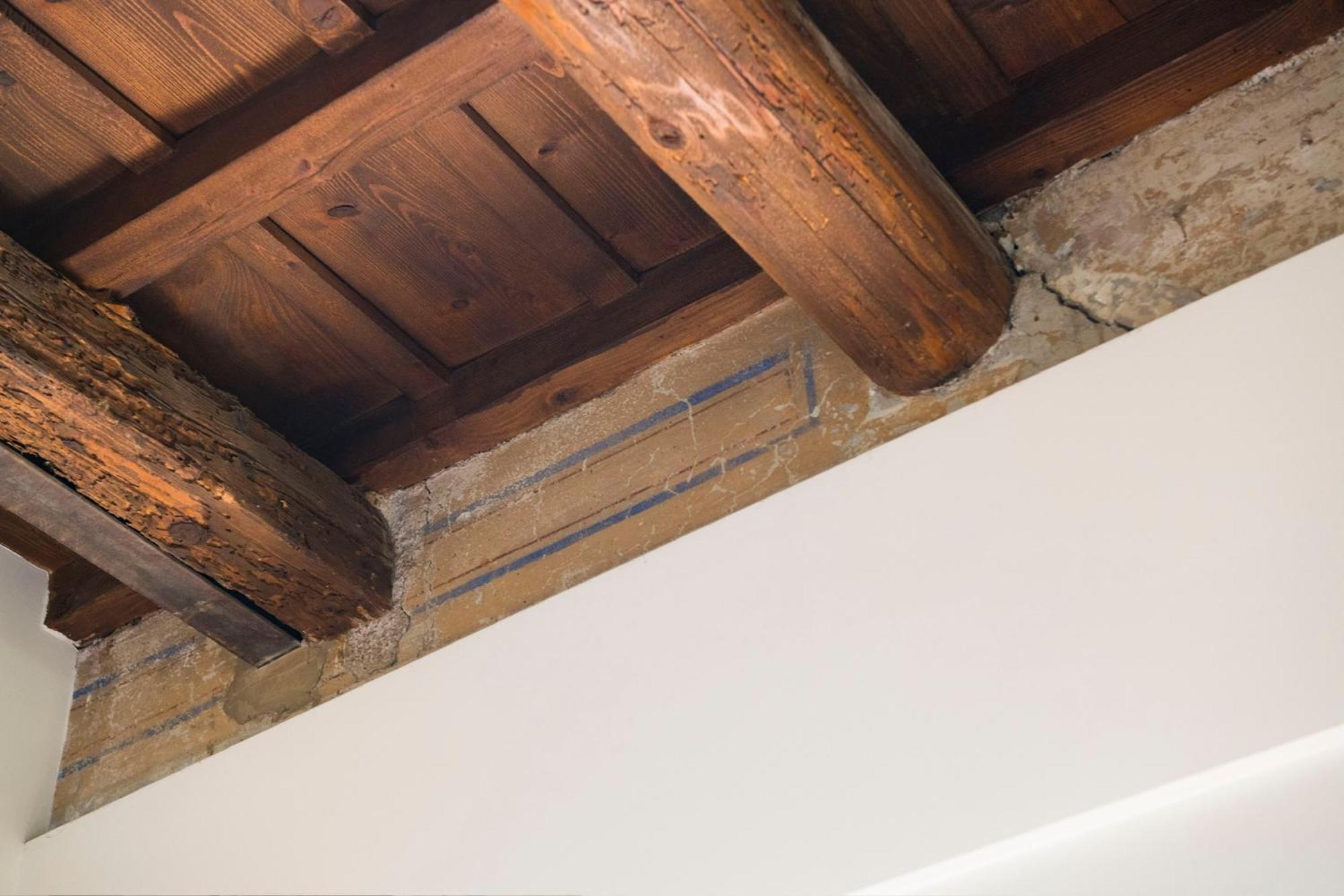 Fuori Dal Tempo Roma Trastevere מראה חיצוני תמונה